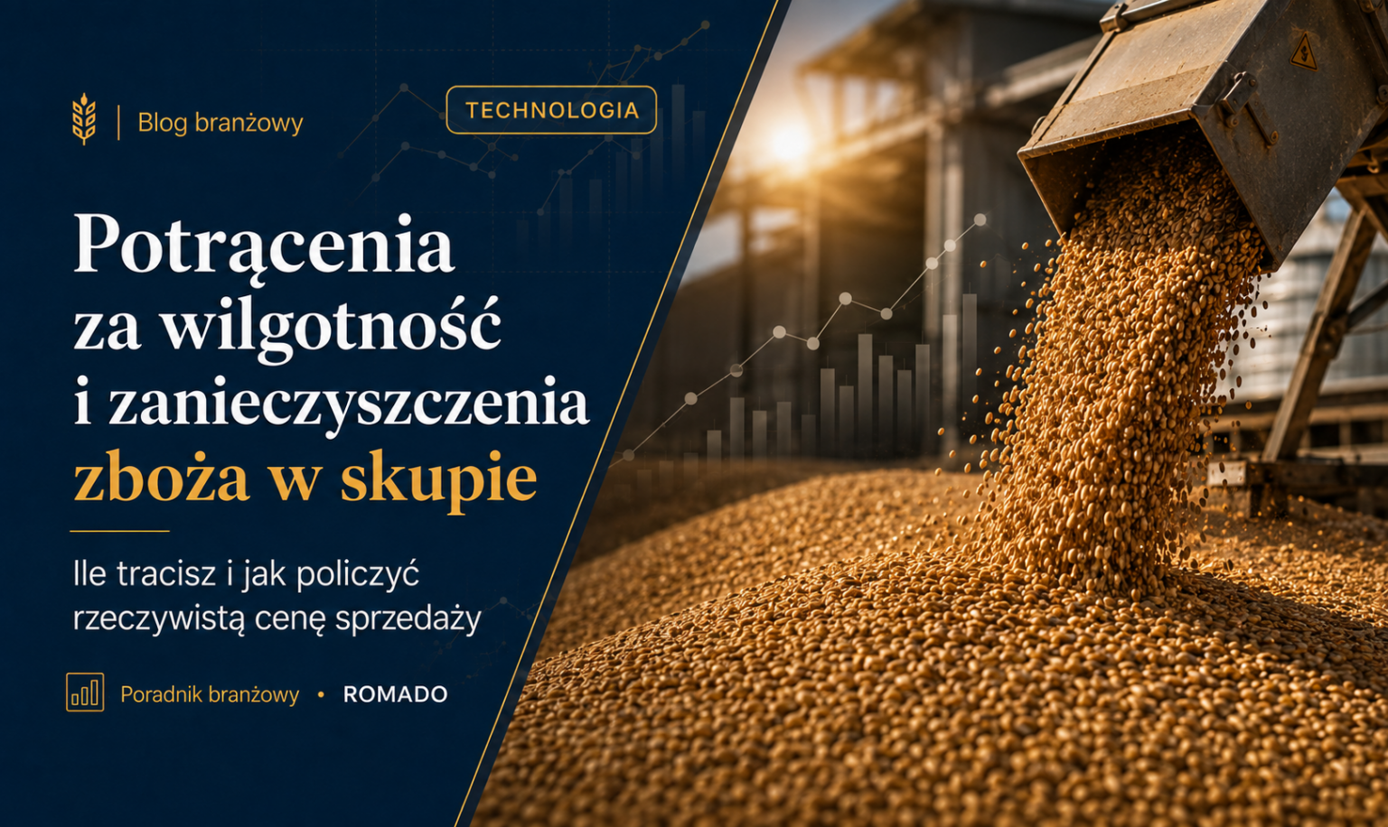 Ile skup potrąca za wilgotność i zanieczyszczenia zboża? Jak policzyć rzeczywistą cenę sprzedaży
